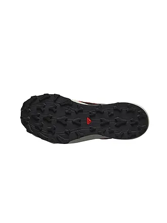 SALOMON | Chaussures de trail Thundercross GTX pour homme | grau